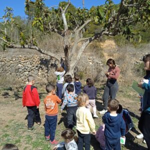 Els arbres fruiters