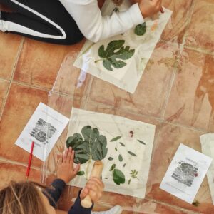 Les plantes remeieres