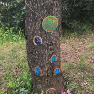 EL BOSC ENCANTAT